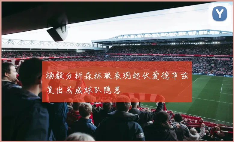 杨毅分析森林狼表现起伏爱德华兹复出或成球队隐患
